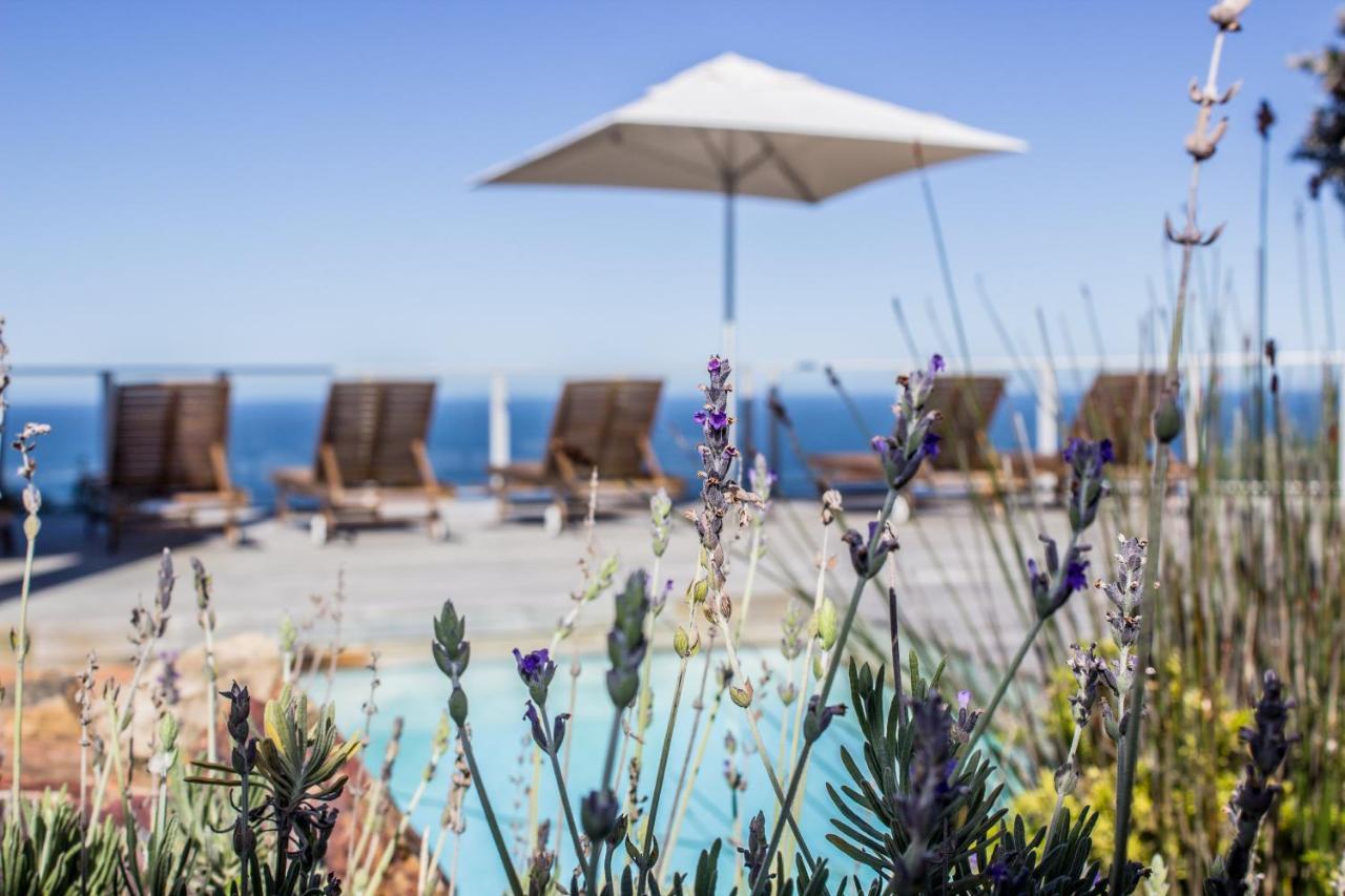 Headlands House Guest Lodge Κνύσνα Εξωτερικό φωτογραφία